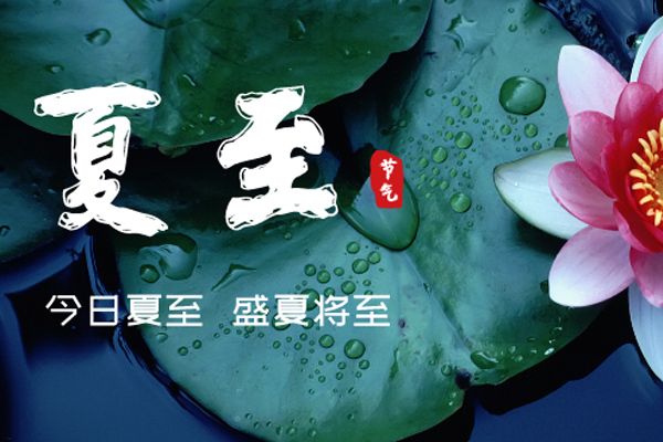 草莓视频成人APP下载木業 | 盛夏已至,滿目繁華